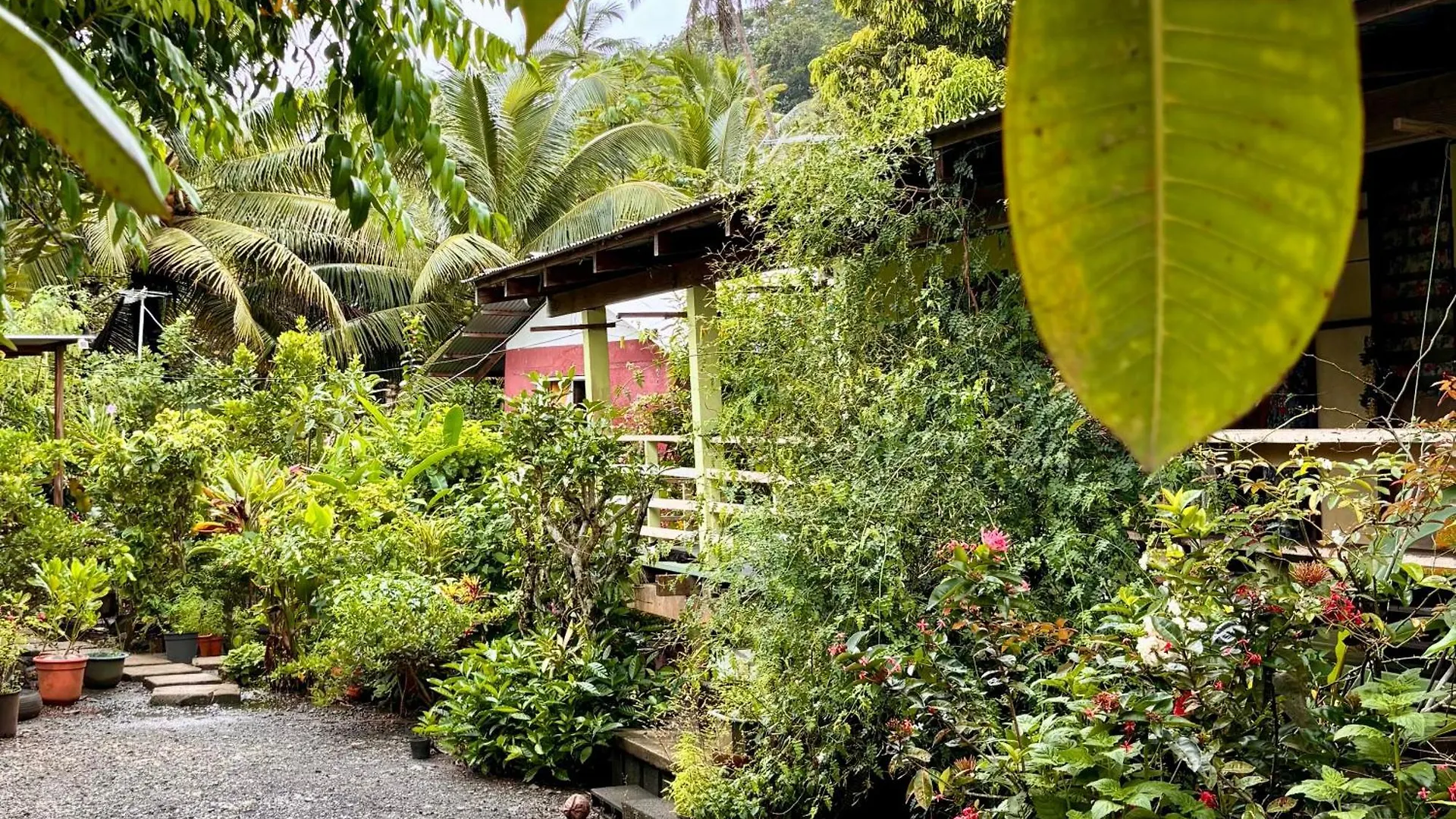 فيلا Chez Nina Taputapuapea